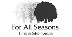 all seasons